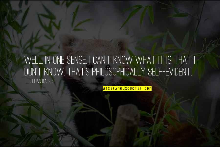 Enrasado Quotes By Julian Barnes: Well, in one sense, I can't know what