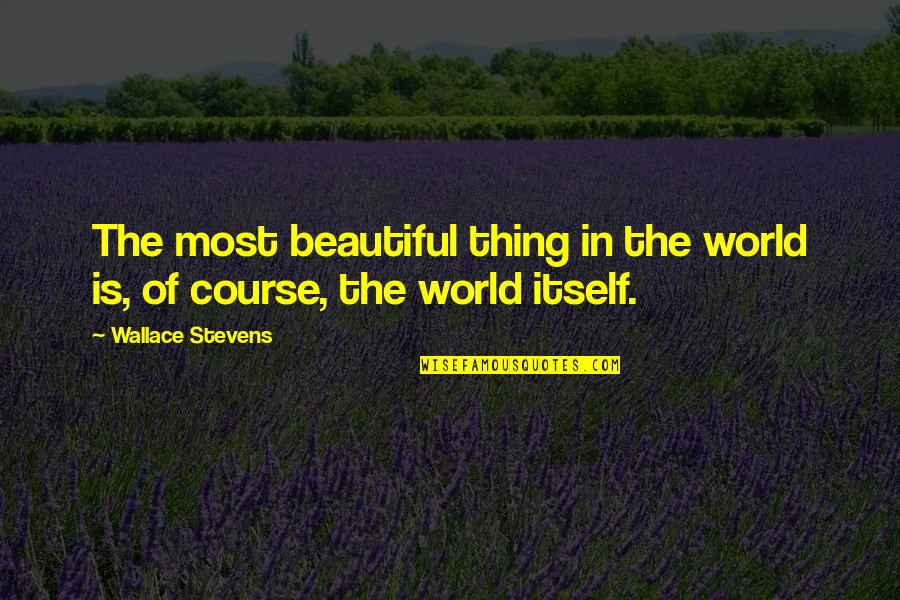 Enrequitted Love Quotes By Wallace Stevens: The most beautiful thing in the world is,
