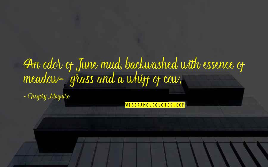 Enrgy Quotes By Gregory Maguire: An odor of June mud, backwashed with essence