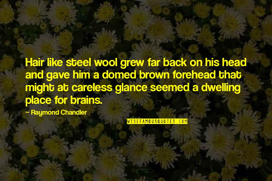 Enrile Bail Quotes By Raymond Chandler: Hair like steel wool grew far back on Enrile Bail Quotes By Raymond Chandler: Hair like steel wool grew far back on
