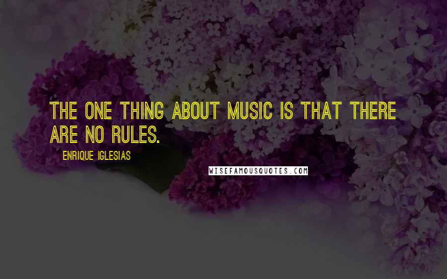 Enrique Iglesias quotes: The one thing about music is that there are no rules.