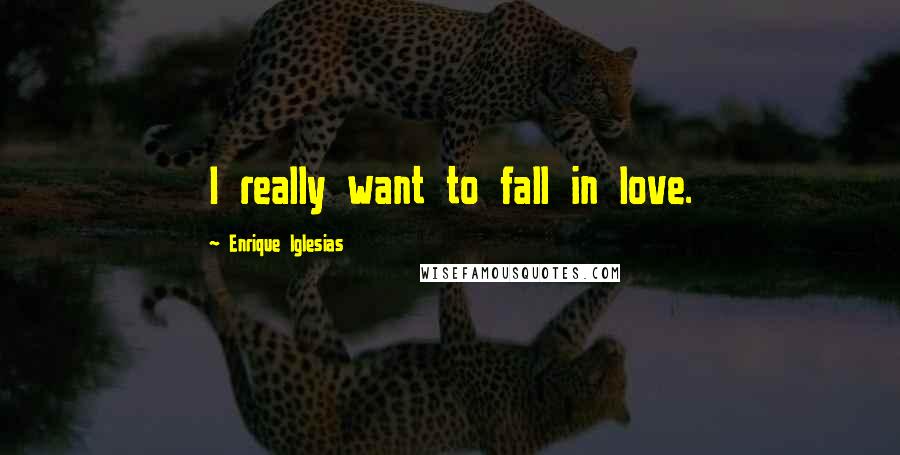 Enrique Iglesias quotes: I really want to fall in love.