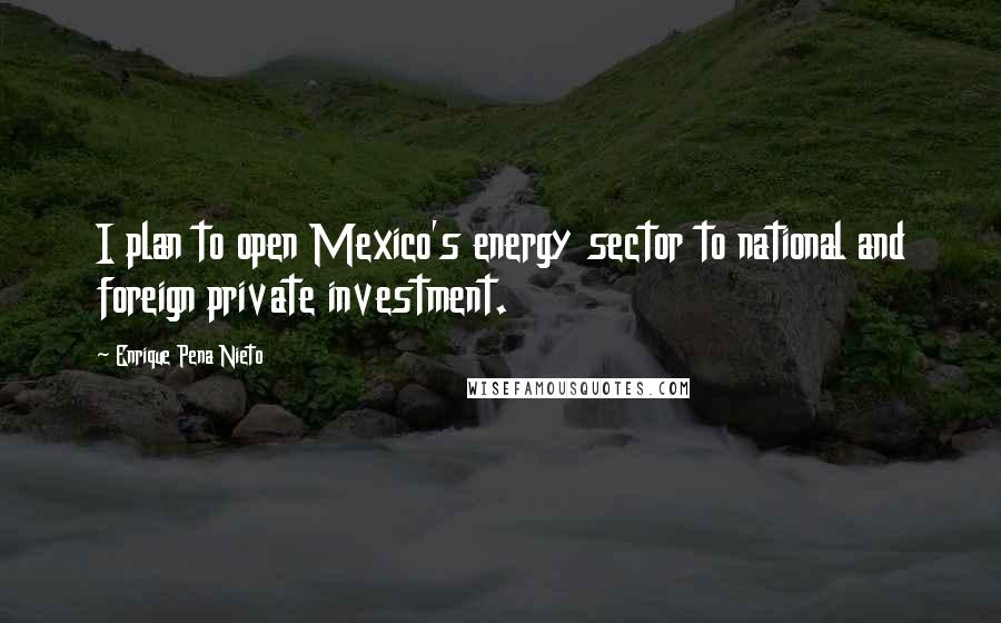 Enrique Pena Nieto quotes: I plan to open Mexico's energy sector to national and foreign private investment.