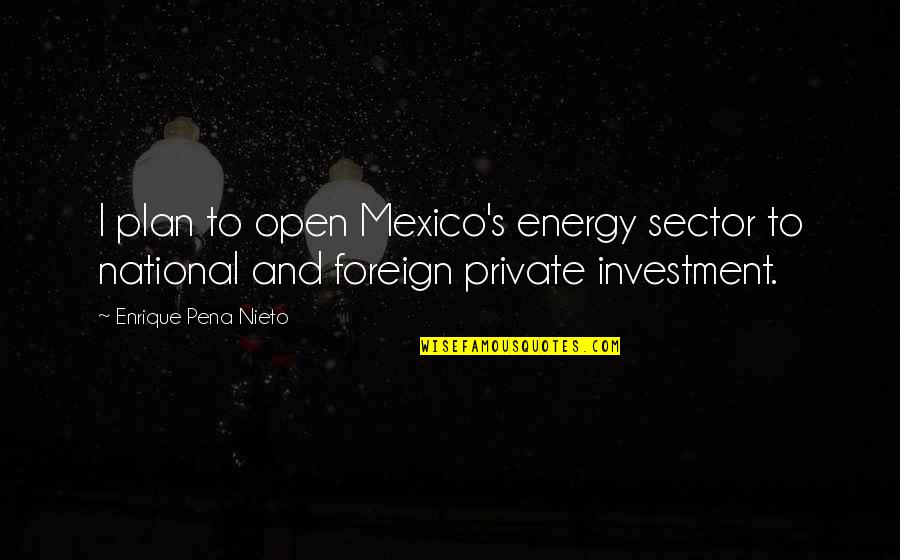 Enrique Pena Quotes By Enrique Pena Nieto: I plan to open Mexico's energy sector to