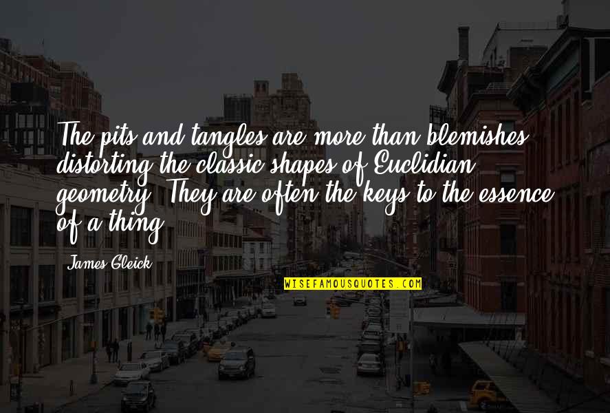 Enrollments Quotes By James Gleick: The pits and tangles are more than blemishes