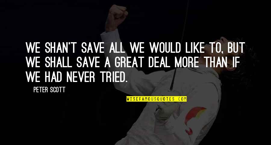Enseigne Quotes By Peter Scott: We Shan't Save All We Would Like To, Enseigne Quotes By Peter Scott: We Shan't Save All We Would Like To,