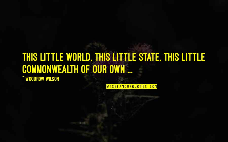 Ensimismado Quotes By Woodrow Wilson: This little world, this little state, this little