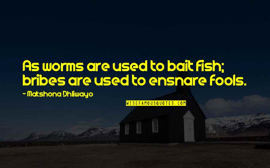 Ensnare Quotes By Matshona Dhliwayo: As worms are used to bait fish; bribes