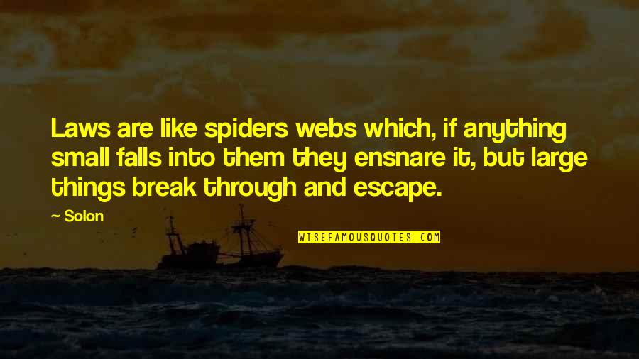 Ensnare Quotes By Solon: Laws are like spiders webs which, if anything