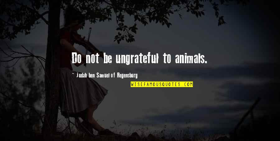 Ensommer Sommer Quotes By Judah Ben Samuel Of Regensburg: Do not be ungrateful to animals.