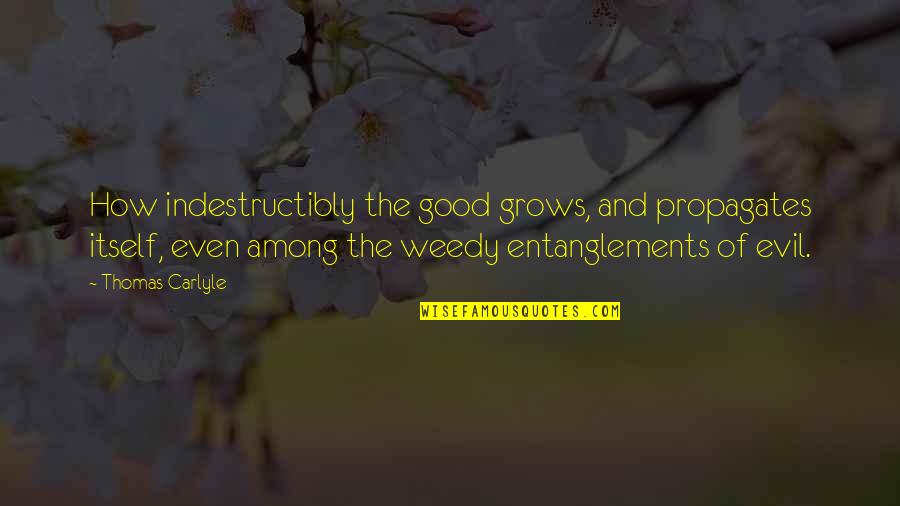 Entanglements Quotes By Thomas Carlyle: How indestructibly the good grows, and propagates itself,