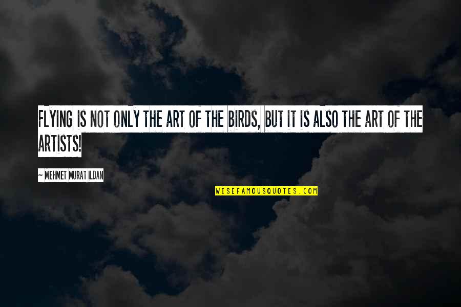 Entendemos Por Quotes By Mehmet Murat Ildan: Flying is not only the art of the