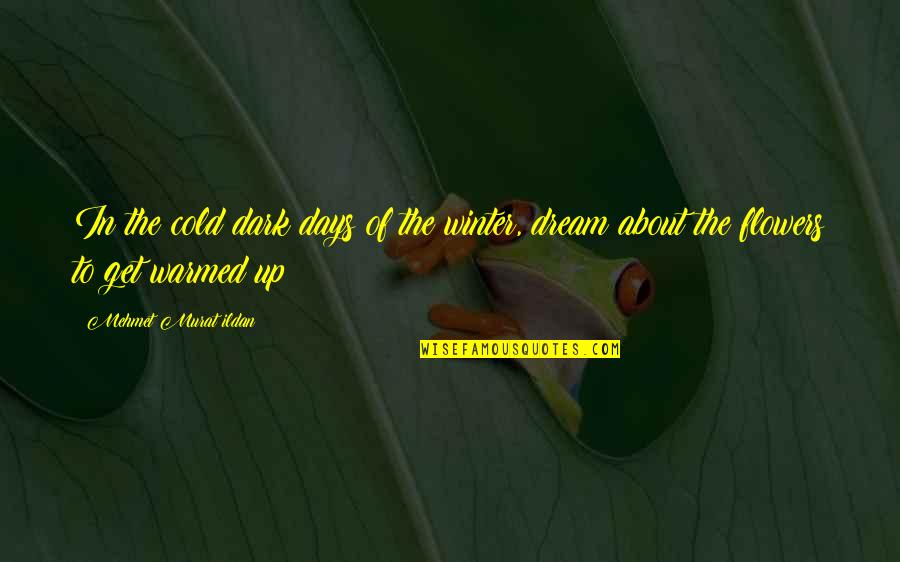 Entendido Y Quotes By Mehmet Murat Ildan: In the cold dark days of the winter, Entendido Y Quotes By Mehmet Murat Ildan: In the cold dark days of the winter,