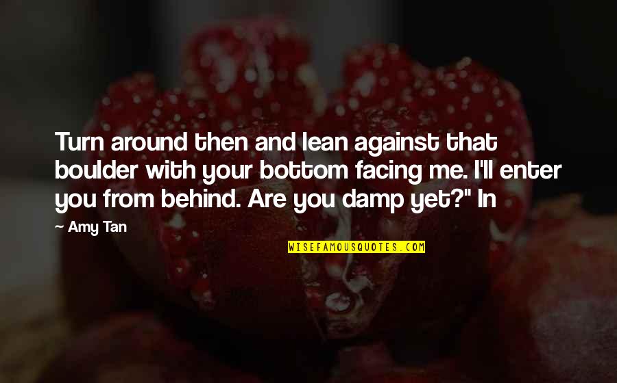 Enter Your Quotes By Amy Tan: Turn around then and lean against that boulder