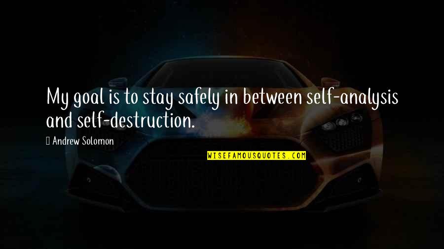 Enterally Quotes By Andrew Solomon: My goal is to stay safely in between