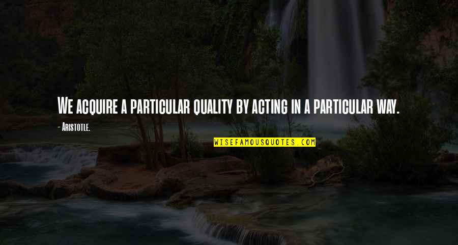 Enterenterprise Quotes By Aristotle.: We acquire a particular quality by acting in