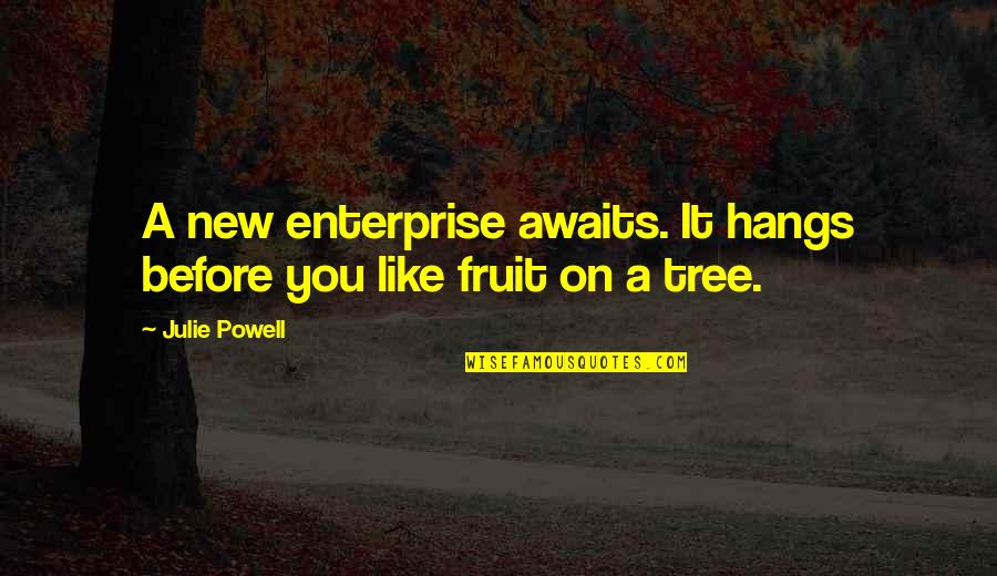 Enterprise Quotes By Julie Powell: A new enterprise awaits. It hangs before you