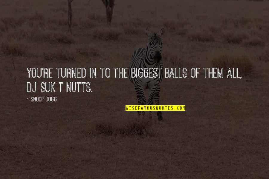 Entertainment Media Quotes By Snoop Dogg: You're turned in to the biggest balls of