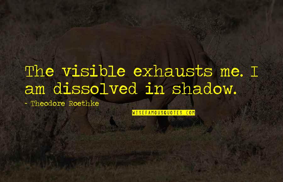 Entgegen Dem Quotes By Theodore Roethke: The visible exhausts me. I am dissolved in