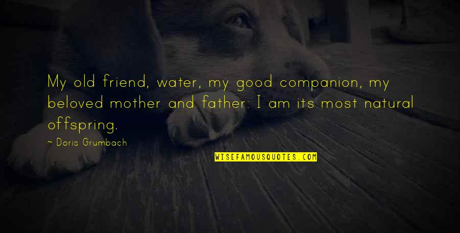 Enthusing Quotes By Doris Grumbach: My old friend, water, my good companion, my