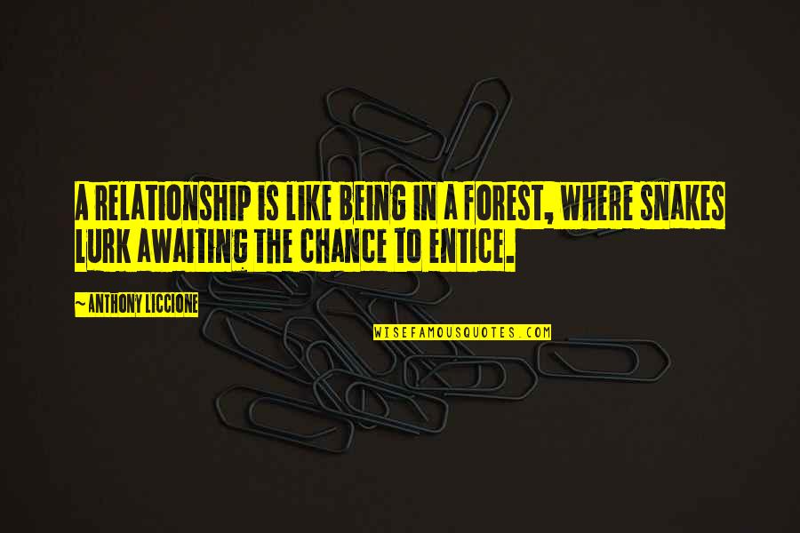 Entice Quotes By Anthony Liccione: A relationship is like being in a forest,