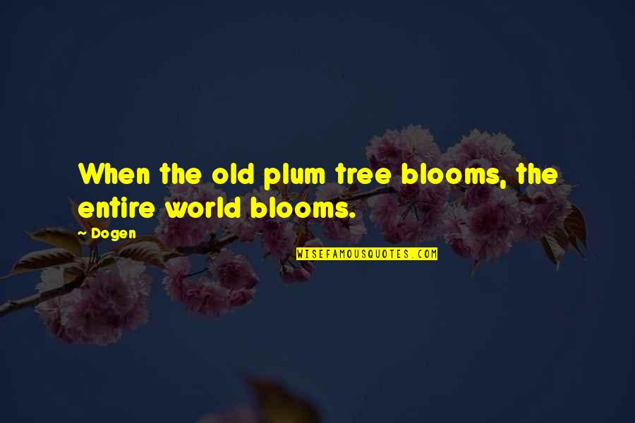 Entire World Quotes By Dogen: When the old plum tree blooms, the entire