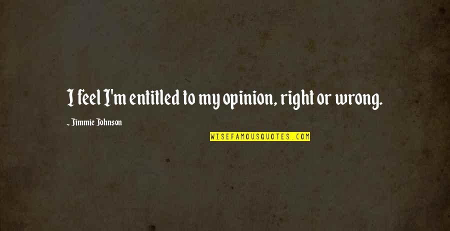 Entitled To Their Own Opinion Quotes By Jimmie Johnson: I feel I'm entitled to my opinion, right