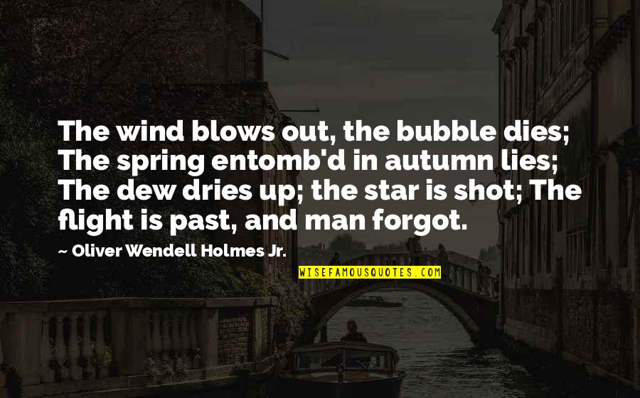 Entomb Quotes By Oliver Wendell Holmes Jr.: The wind blows out, the bubble dies; The
