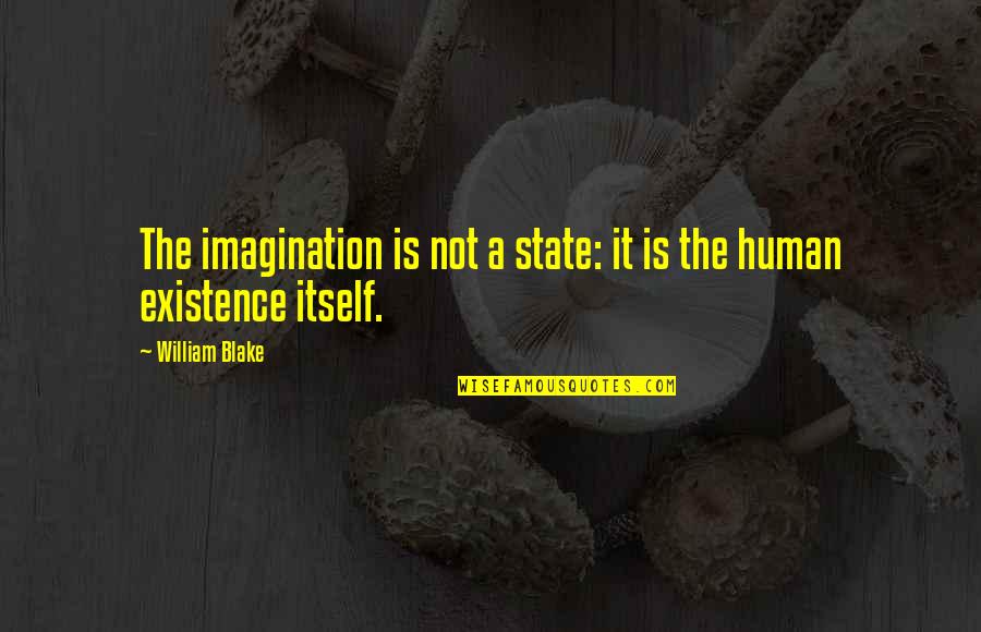 Entombed Clandestine Quotes By William Blake: The imagination is not a state: it is