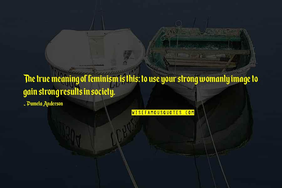 Entonnoir Buchner Quotes By Pamela Anderson: The true meaning of feminism is this: to