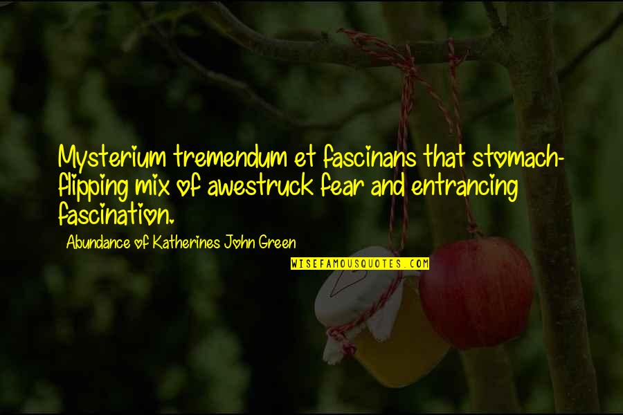 Entrancing Quotes By Abundance Of Katherines John Green: Mysterium tremendum et fascinans that stomach- flipping mix