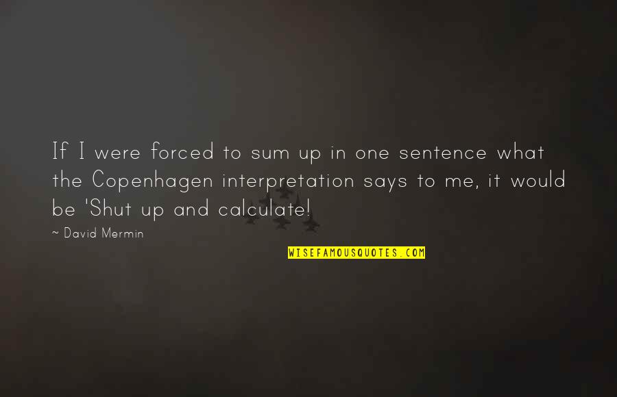 Entrarnomeuface Quotes By David Mermin: If I were forced to sum up in Entrarnomeuface Quotes By David Mermin: If I were forced to sum up in
