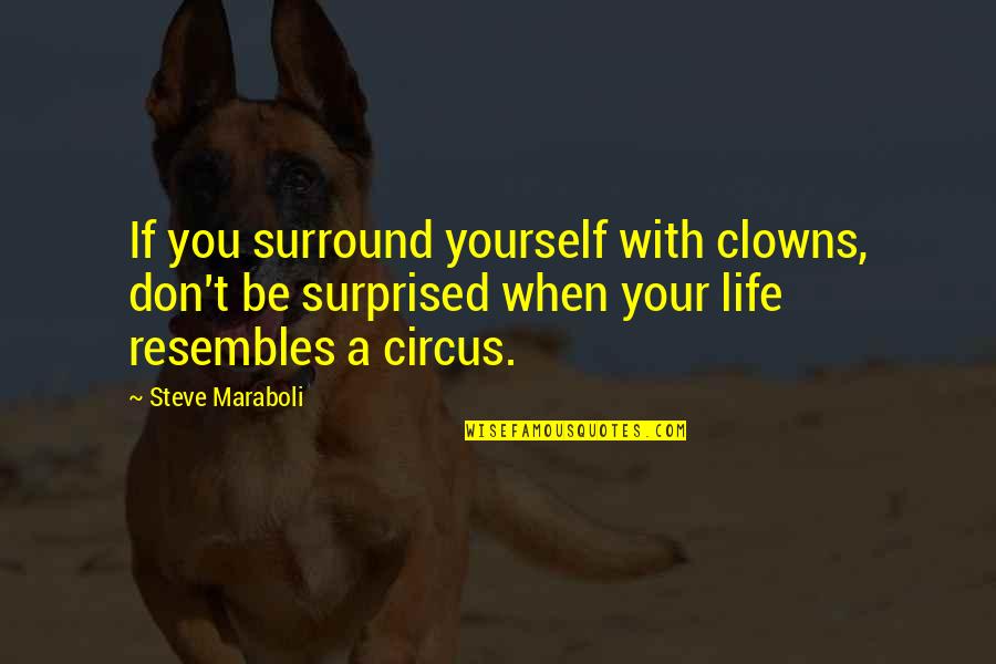 Entrechats Berchem Sainte Agathe Quotes By Steve Maraboli: If you surround yourself with clowns, don't be