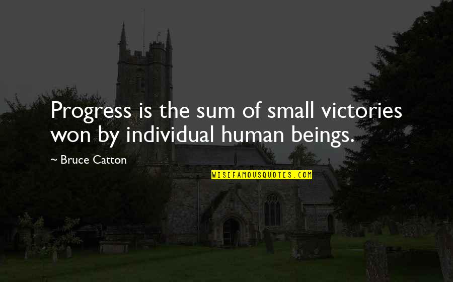 Entrego Contact Quotes By Bruce Catton: Progress is the sum of small victories won