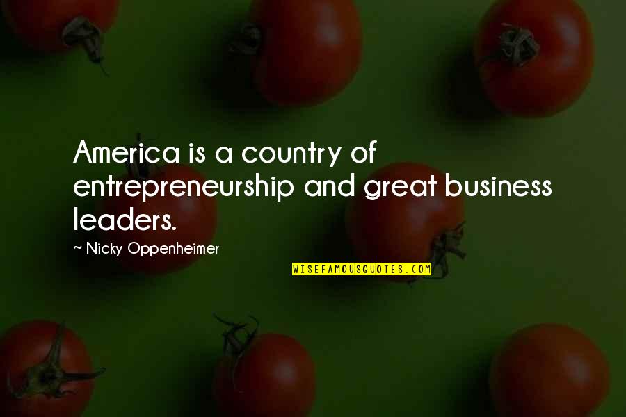 Entrepreneurship Business Quotes By Nicky Oppenheimer: America is a country of entrepreneurship and great