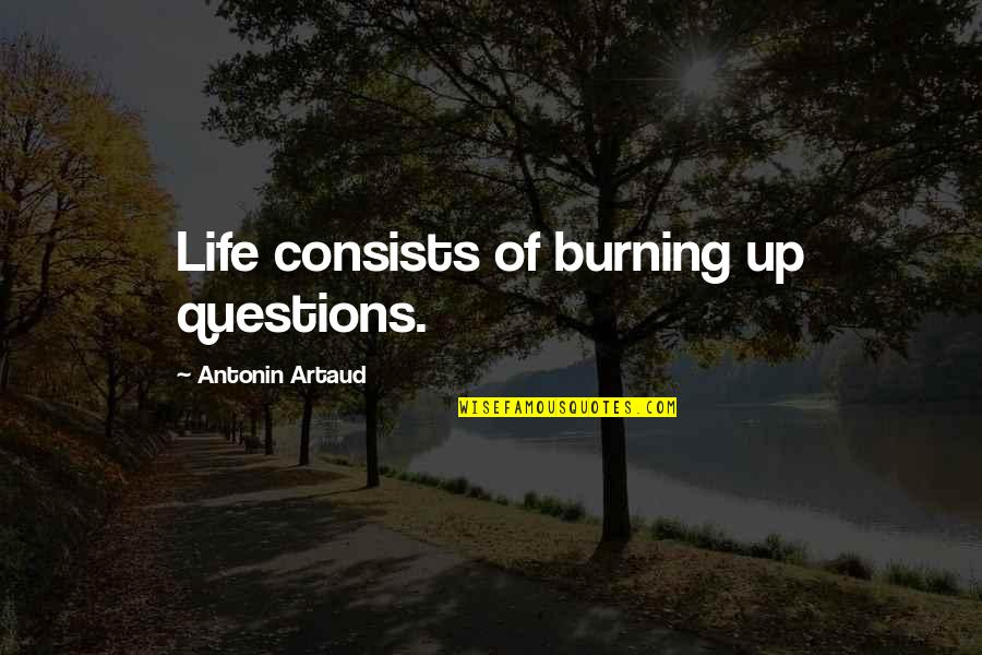 Entrepreneurship Is A Lonely Journey Quotes By Antonin Artaud: Life consists of burning up questions. Entrepreneurship Is A Lonely Journey Quotes By Antonin Artaud: Life consists of burning up questions.