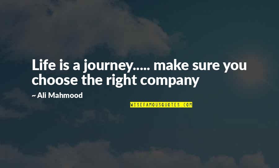 Entreveros Quotes By Ali Mahmood: Life is a journey..... make sure you choose