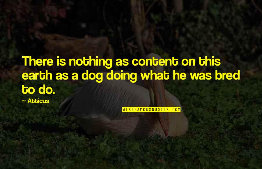 Entsar Mohamed Quotes By Atticus: There is nothing as content on this earth