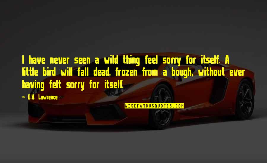 Entscheidung Englisch Quotes By D.H. Lawrence: I have never seen a wild thing feel