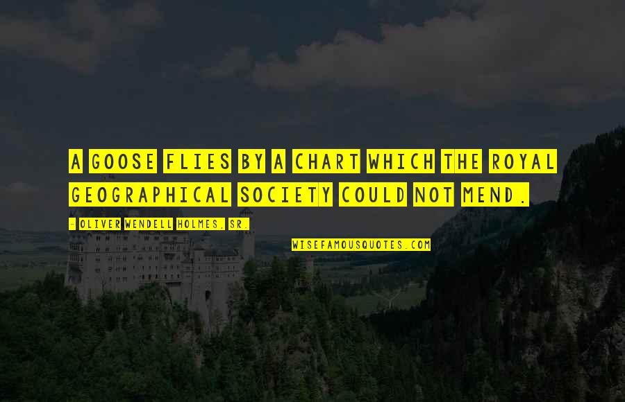 Entusiasmado Definicion Quotes By Oliver Wendell Holmes, Sr.: A goose flies by a chart which the Entusiasmado Definicion Quotes By Oliver Wendell Holmes, Sr.: A goose flies by a chart which the