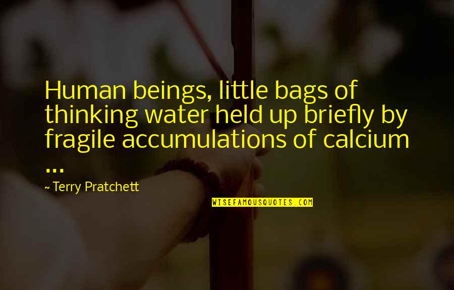 Enviable Def Quotes By Terry Pratchett: Human beings, little bags of thinking water held