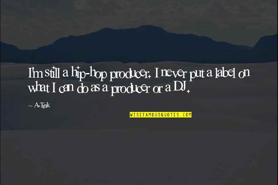 Envik Boxing Quotes By A-Trak: I'm still a hip-hop producer. I never put