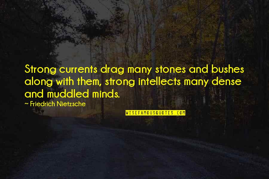 Environ Quotes By Friedrich Nietzsche: Strong currents drag many stones and bushes along