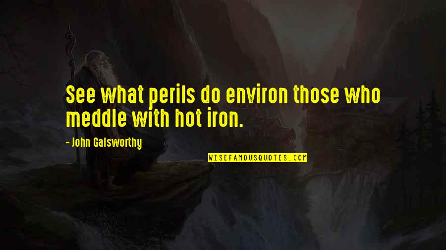 Environ Quotes By John Galsworthy: See what perils do environ those who meddle