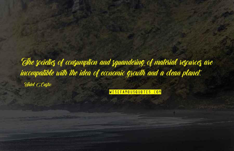 Environment And Economic Growth Quotes By Fidel Castro: The societies of consumption and squandering of material