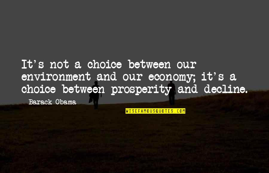 Environment And Economy Quotes By Barack Obama: It's not a choice between our environment and