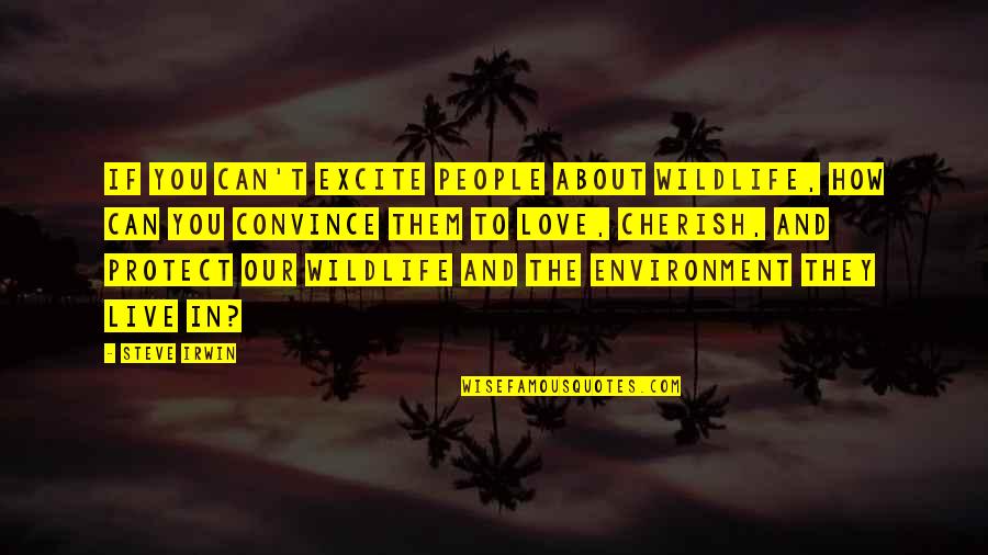 Environment And Love Quotes By Steve Irwin: If you can't excite people about wildlife, how