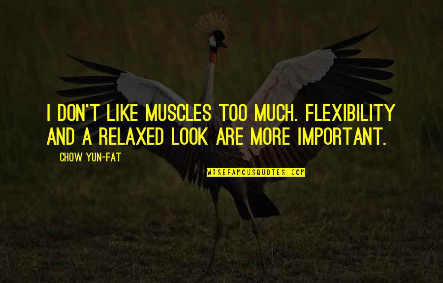 Environment Conservation Quotes By Chow Yun-Fat: I don't like muscles too much. Flexibility and