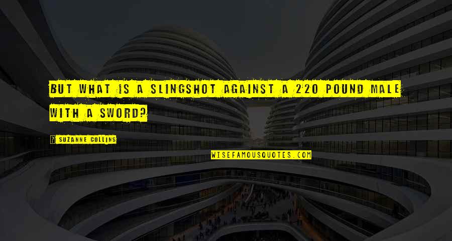 Environment Day In Malayalam Quotes By Suzanne Collins: But what is a slingshot against a 220