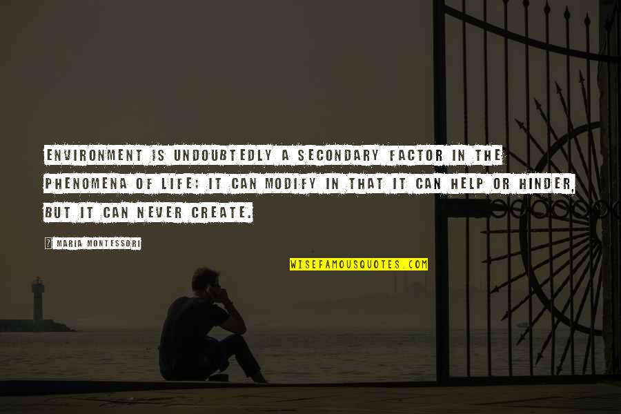 Environment Life Quotes By Maria Montessori: Environment is undoubtedly a secondary factor in the Environment Life Quotes By Maria Montessori: Environment is undoubtedly a secondary factor in the